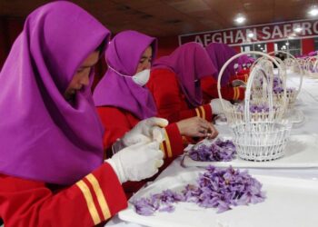 له هراته د ۲۸۰ زره ډالرو په ارزښت زعفران بهر ته صادر شوي