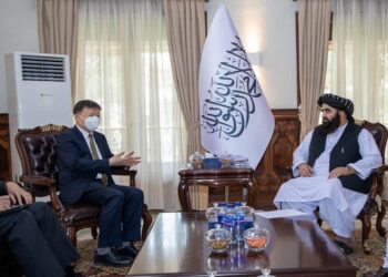 چین: له افغانستانه د وچې او تازه میوې صادرات ډېروو