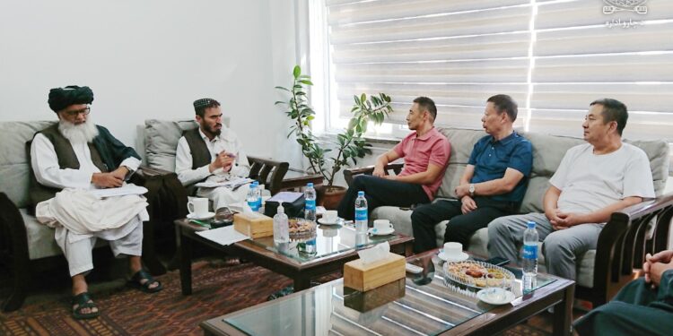 چینایي شرکت: کانونه په ښه کیفیت او مناسب قیمت استخراجولی شو