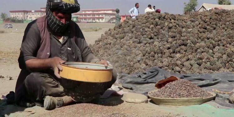 پاکستان افغان جلغوزي پخپل نامه چین ته صادروي