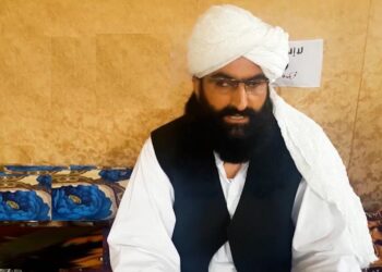نور ولي مسید: پاکستاني لوري سره خبرو کې پرمختګ نه دی شوی