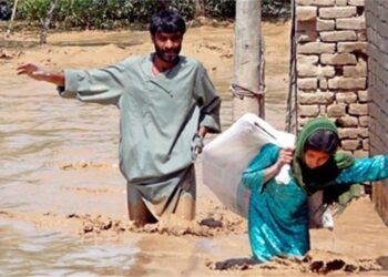 پکتيکا کې سېلابونو ۱۰۰۰ کورونه زیانمن کړي