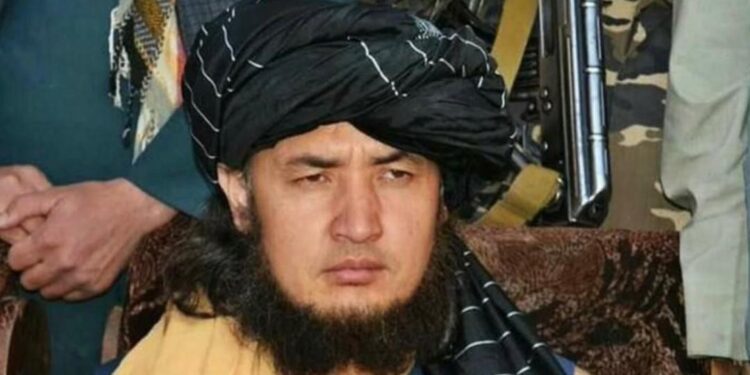 ا.ا وايي ځواکونو یې مولوي مهدي وژلی دی