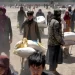 م.م: ۲۴ میلیونه افغانان عاجلو بشري مرستو ته اړتیا لري