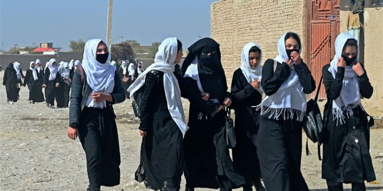 حقاني: پوهنتون او مدرسه دواړه یو او د یوې موخې لپاره دي