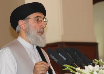 حکمتیار: امریکایي الوتکې د پاکستان یا تاجکستان په همکارۍ را اوړي