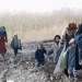 تاجکستان ۲۰۰ افغان کډوال له خپلې خاورې ایستلي دي
