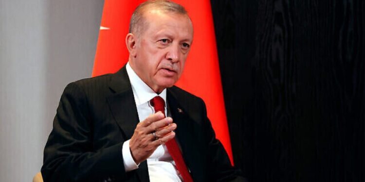 اردوغان: په افغانستان کې دې بشري حقونو ته درناوی وشي