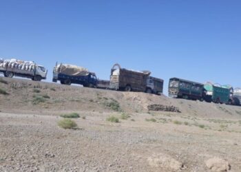 پاکستان افغانستان ته د غنمو او اوړو پر لېږد بشپړ بندیز لګولی دی