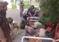 زابل کې د کولرا ناروغۍ له امله ۱۲ کسان مړه شوي دي