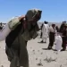 اړمنو افغانانو سره د مرستو د وېش پروګرام پراخیږي