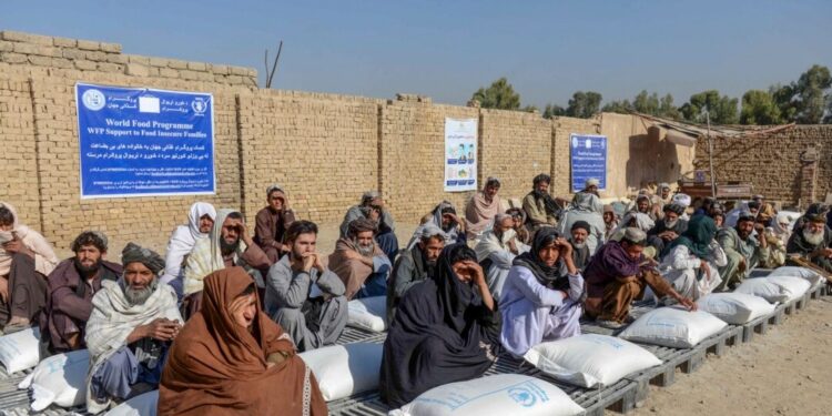 اوچا يو ځل بيا له افغانانو سره پر مرستې ټینګار کړی