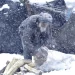 اوچا: سخت ژمي ته د افغانانو د چمتووالي لپاره وخت په ختمېدو دی