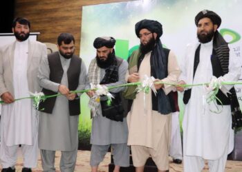 اتصالات په هرات کې د 4G چوپړتیاوې  پیل کړې
