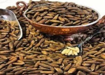 سوداګرۍ وزارت: هڅه کوو د افغانستان جلغوزیو ته نور نړیوال بازارونه هم پیدا کړو