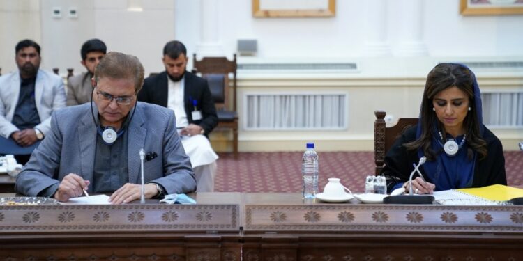 حنا رباني: افغانستان او پاکستان باید په تېرو تېروتنو کې ښکېل نه شي