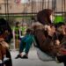رینا امیري: پر افغان ښځو محدودیتونه به د فقر او بې ثباتۍ لامل شي
