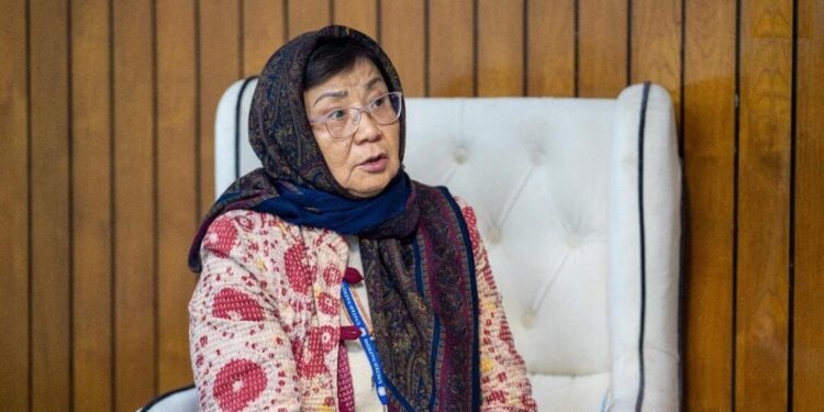 یوناما: بشري حقونو ته نه درناوی اقتصادي ننګونې زیاتولی شي