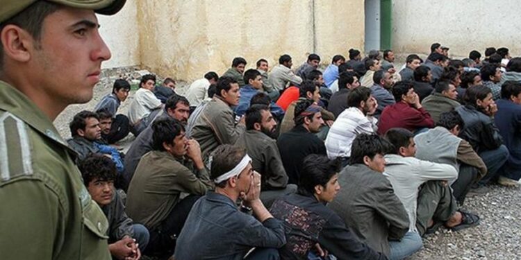 د کډوالو چارو وزیر: کاونډيان دې په زور افغان کډوال له خپل هېواده نه وباسي