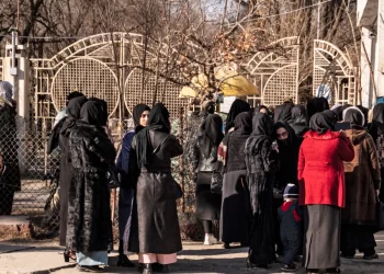 مجاهد: د نجونو دزه کړو په برخه کې موقتي ګام اخیستل شوی