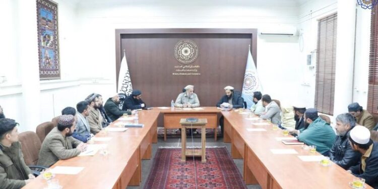 سوداګرۍ وزارت: د اقتصادي ځان بسیاینې لپاره ملي پروګرام پیلوو
