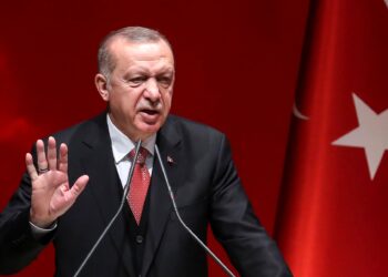 اردوغان: ناټو سره د سوېډن د غړیتوب ملاتړ نه کوو