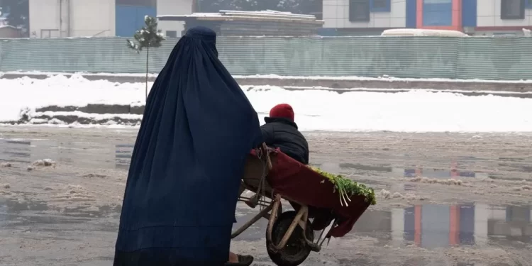 اوچا: افغانستان له بېساري بشري بحران سره مخ دى