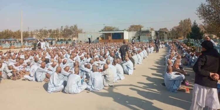 هېواد کې ۸۲ زره په نشه روږدي کسان راټول شوي