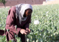 سیګار: له نشهيي توکو سره مبارزه د نړیوالې ټولنې لومړيتوب دی