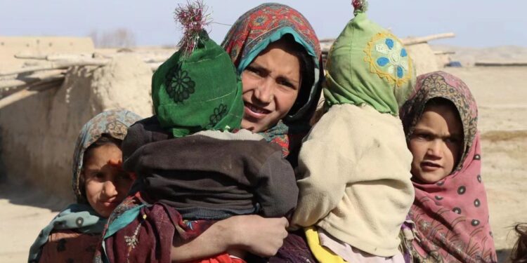 اوچا: اوزګارتیا ګڼ افغانان پوروړوي کړي دي