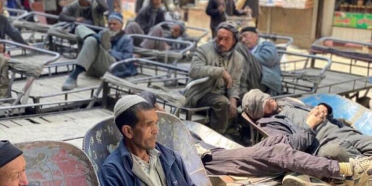 مسوولین: له فقر سره د مبارزې لپاره مسلکي زدکړو ته اړتیا ده