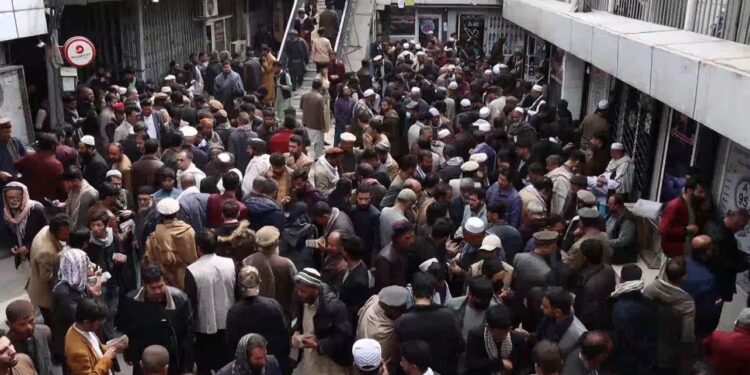د متحدو ايالتونو سياسي لوبه