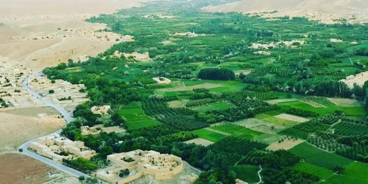 وردګو کې د ماین چاودنې له امله دوه ماشومان وژل شوي