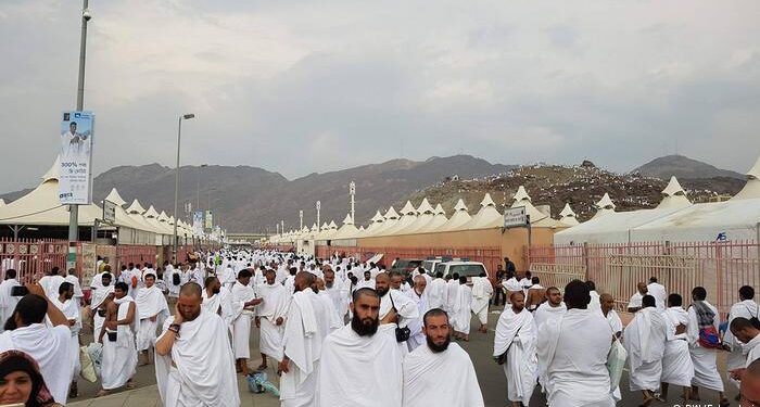 چارواکي: سږ کال به افغان حاجیانو ته ګڼې اسانتیاوې برابرې کړي