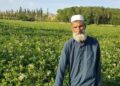 د بغلان کروندګر: کرنې وزارت دې اصلاح شوي تخمونه راکړي