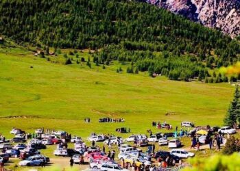 کرنې وزارت: ځنګلونه د هېواد ملي شتمنه ده باید ستانه یې وکړو