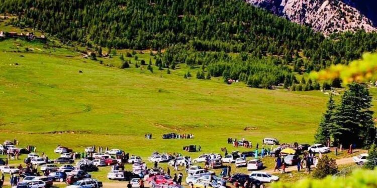 کرنې وزارت: ځنګلونه د هېواد ملي شتمنه ده باید ستانه یې وکړو
