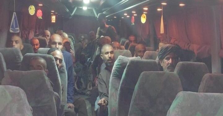 په نیمروز کې د روږد کسانو د را ټولولو او درمنلې لړۍ روانه ده