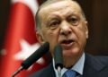 اردوغان: مسلمانانو ته سپکاوی د بیان ازادي نه ده