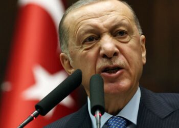 اردوغان: مسلمانانو ته سپکاوی د بیان ازادي نه ده