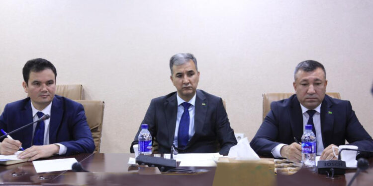 ترکمنستان؛ له افغانستان سره د روږدو کسانو په درملنې کې همکاري کوو