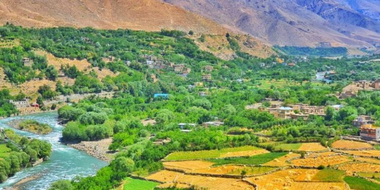 کورنیو چارو وزارت: هېواد کې د نشه يي توکو کرکېله صفر شوې ده