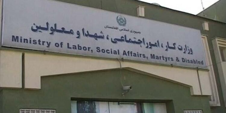 چارواکي: ځوانانو ته په بېلابېلو برخو کې د کار زمینه برابروو