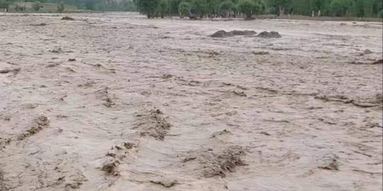 لوګر کې سېلابونو خلکو ته ګڼ مالي زیانونه اړولي