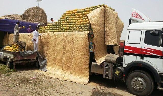 کندوز کې سږ کال د خټکیو حاصلات څو برابره ښه شوي