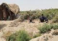 نیمروز کې سختو توپانونو کروندګرو ته زیانونه اړولي دي
