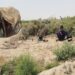 نیمروز کې سختو توپانونو کروندګرو ته زیانونه اړولي دي