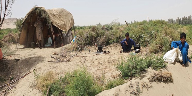 نیمروز کې سختو توپانونو کروندګرو ته زیانونه اړولي دي