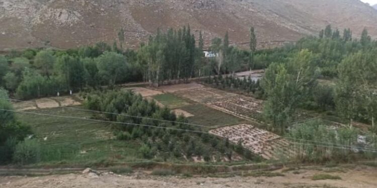 وردګو کې سېلابونو خلکو ته مالي زیانونه اړولي دي