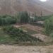 وردګو کې سېلابونو خلکو ته مالي زیانونه اړولي دي